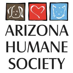 Phoenix summer camps
